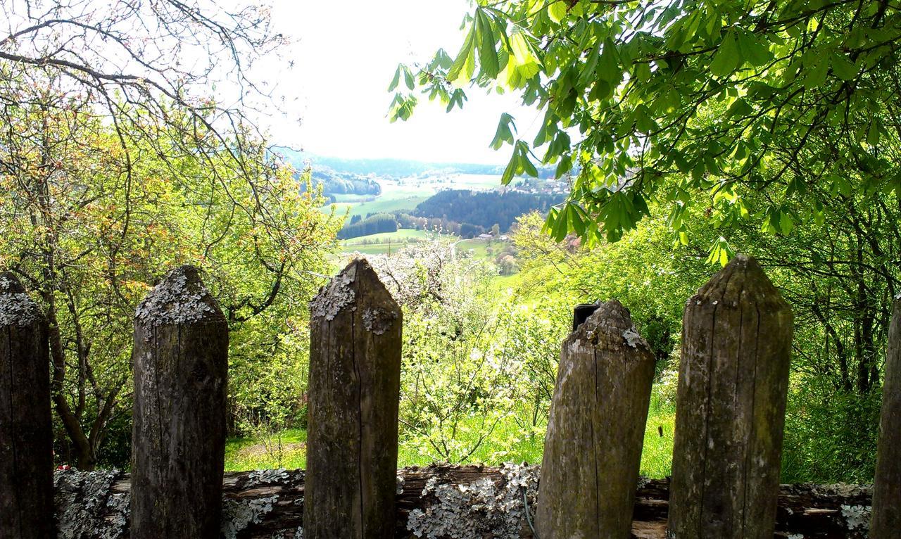 Hotel Zur Post Schönberg Exteriér fotografie